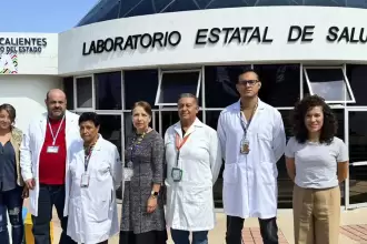 Aguascalientes combate el dengue con mosquitos con Wolbachia