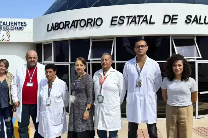 Aguascalientes combate el dengue con mosquitos con Wolbachia