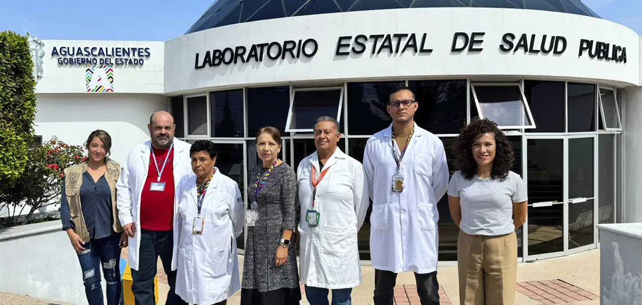 Aguascalientes combate el dengue con mosquitos con Wolbachia