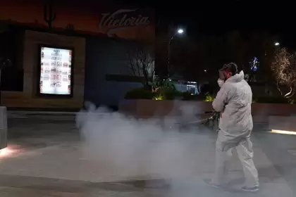 Alerta por dengue en Aguascalientes: Secretaría de Salud intensifica operativo
