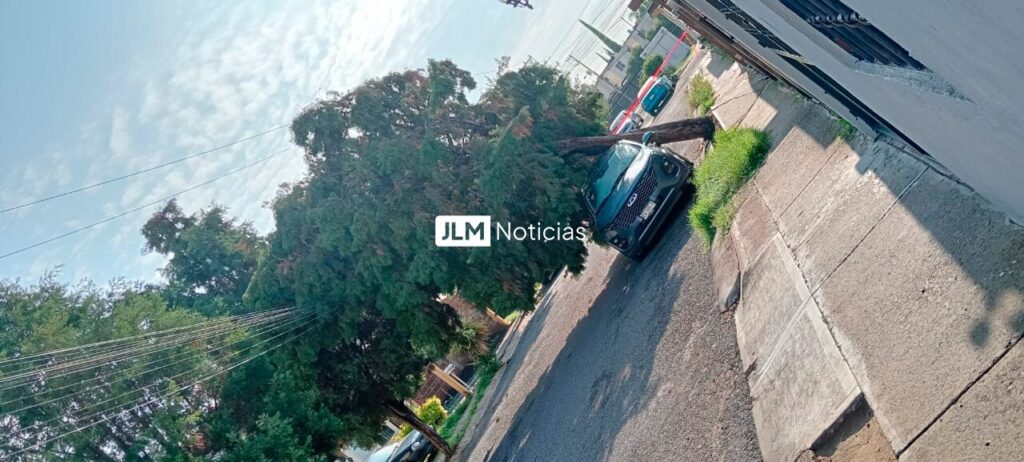 Árbol cae sobre carro