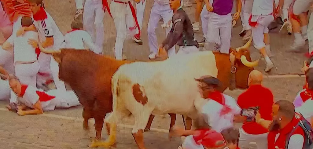 Este fue el toro de Álvaro Núñez que se rezago, amagó con devolverse y retrasó hasta los 3’32” la duración del cuarto encierro de San Fermín. Foto: JLMNoticias / Especial / RTVE.