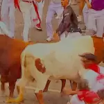 Este fue el toro de Álvaro Núñez que se rezago, amagó con devolverse y retrasó hasta los 3’32” la duración del cuarto encierro de San Fermín. Foto: JLMNoticias / Especial / RTVE.