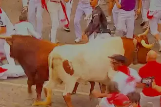 Este fue el toro de Álvaro Núñez que se rezago, amagó con devolverse y retrasó hasta los 3’32” la duración del cuarto encierro de San Fermín. Foto: JLMNoticias / Especial / RTVE.
