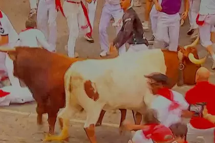 Este fue el toro de Álvaro Núñez que se rezago, amagó con devolverse y retrasó hasta los 3’32” la duración del cuarto encierro de San Fermín. Foto: JLMNoticias / Especial / RTVE.
