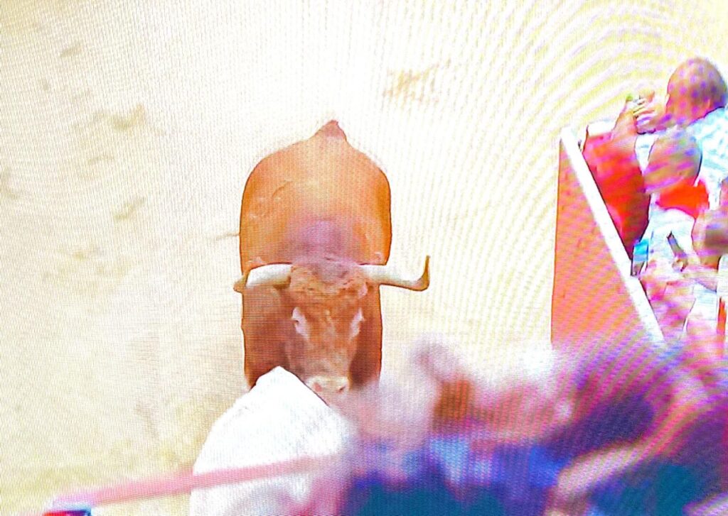 Cuarto Encierro San Fermin 6