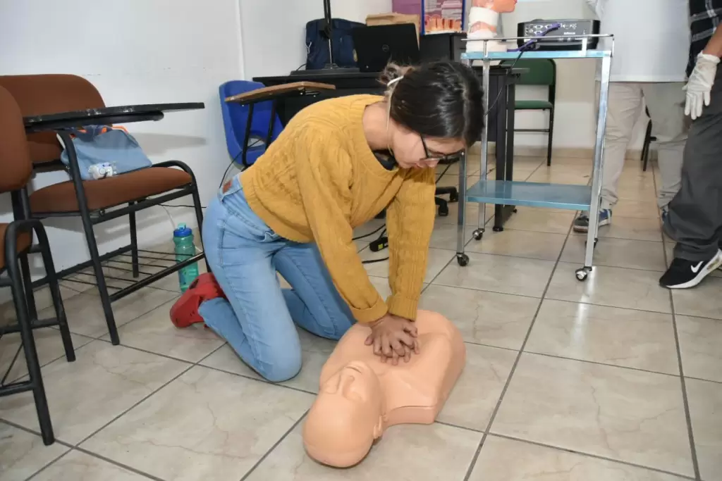 Cursos Gratuitos DIF Estatal 3