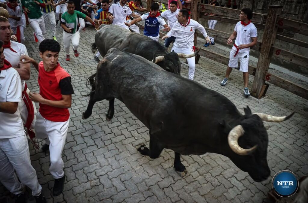 Encierro 5 San Fermin 5