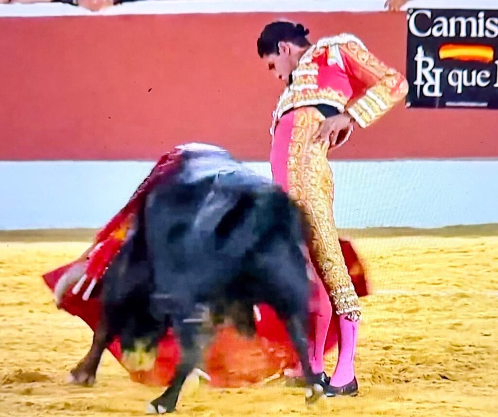 Hector Gutierrez 2