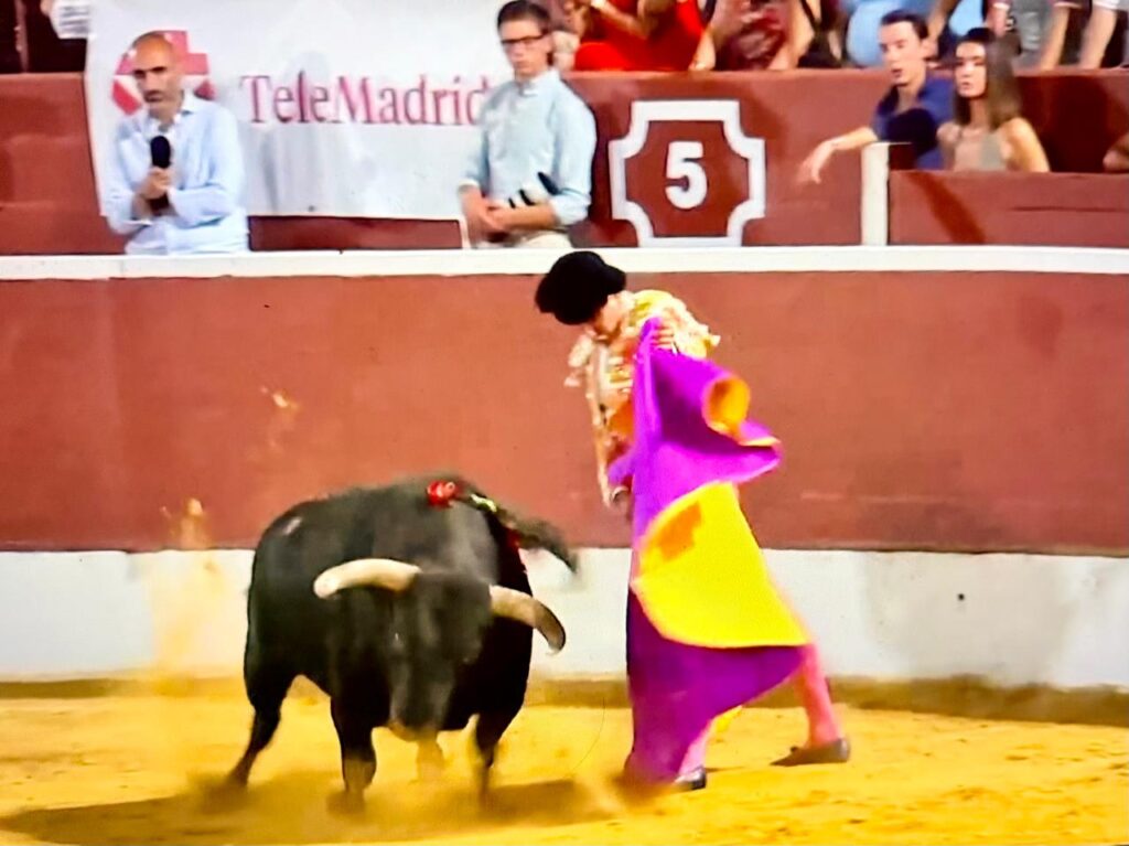 Hector Gutierrez 4