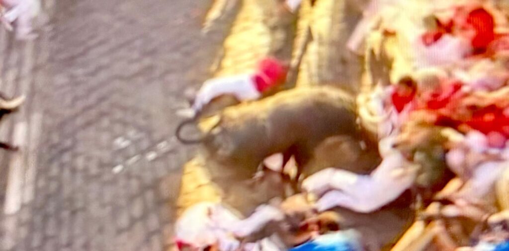 Jandilla Encierro San Fermin 2