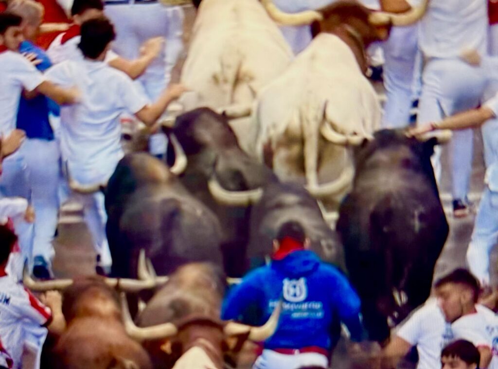 Jandilla Encierro San Fermin 3