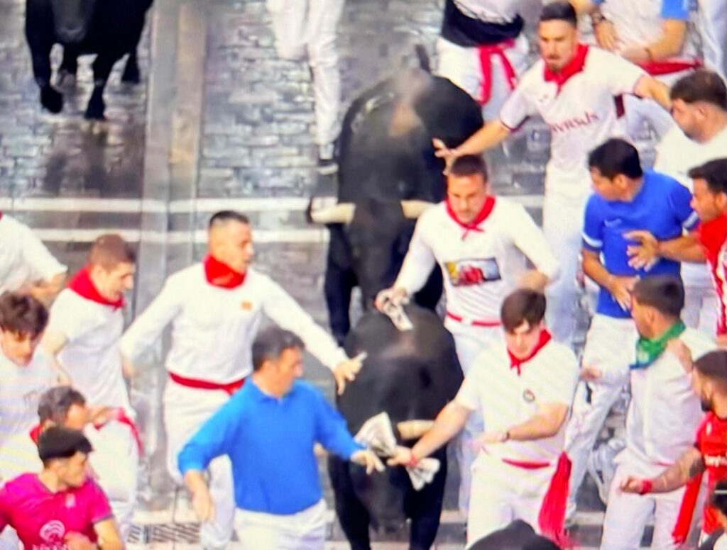 Jandilla Encierro San Fermin 4