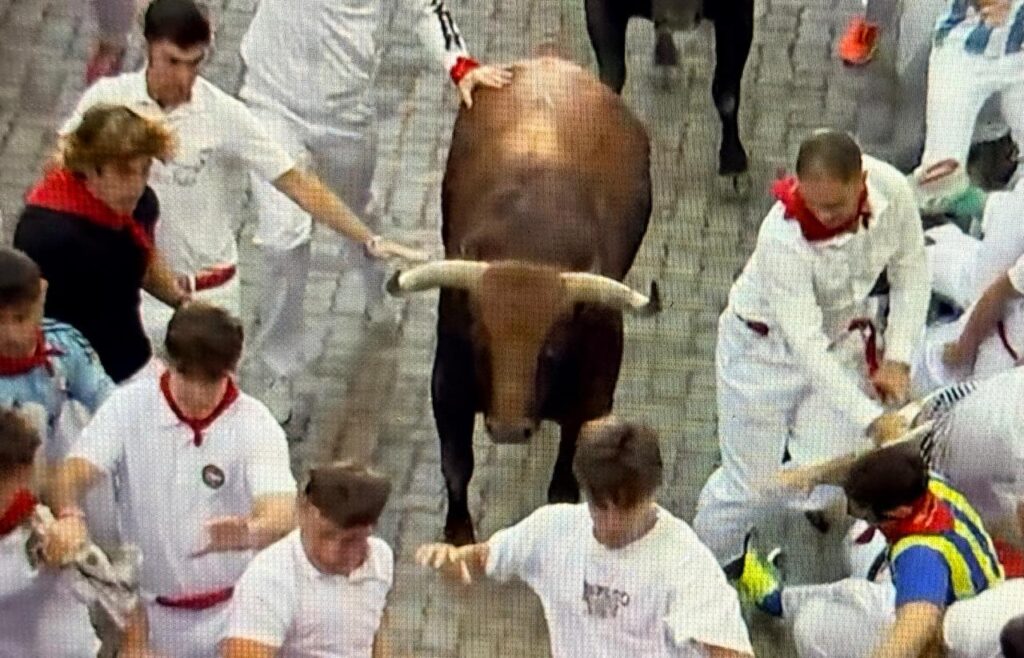 Jandilla Encierro San Fermin 5