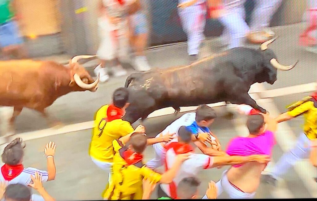 Jandilla Encierro San Fermin 6