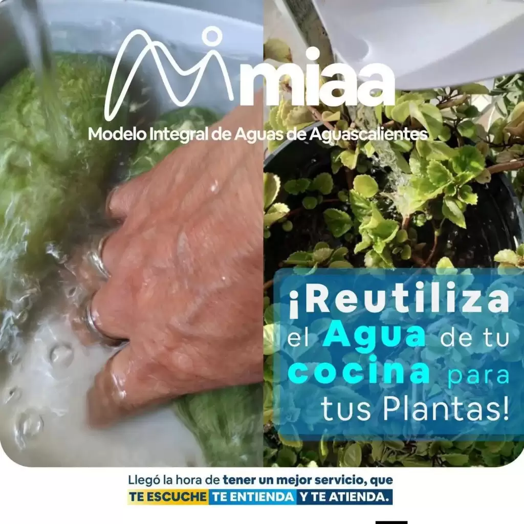 MIAA-reutiliza-agua