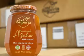 Miel de Aguascalientes conquista mercados de Europa, Asia y América