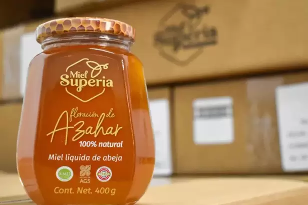 Miel de Aguascalientes conquista mercados de Europa, Asia y América