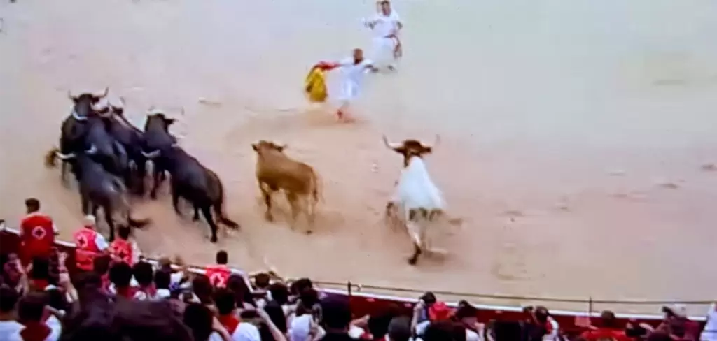 Que “dice mi mamá que siempre no”: Los toros de Miura, estando a la puerta de los corrales de la plaza, se dieron un paseo por el ruedo de La Misericordia y ya después ingresaron, retrasando el cronómetro hasta los 2’34”. Foto: JLMNoticias / Especial / RTVE.