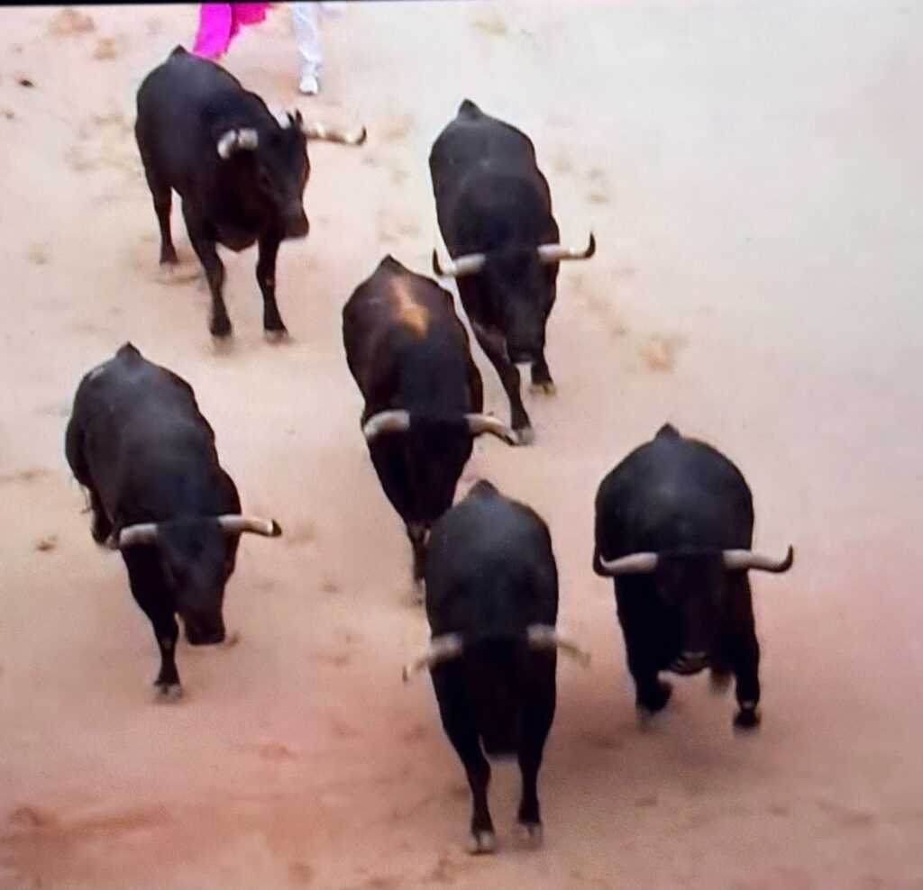 Miura San Fermin 2