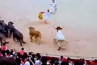 Que “dice mi mamá que siempre no”: Los toros de Miura, estando a la puerta de los corrales de la plaza, se dieron un paseo por el ruedo de La Misericordia y ya después ingresaron, retrasando el cronómetro hasta los 2’34”. Foto: JLMNoticias / Especial / RTVE.