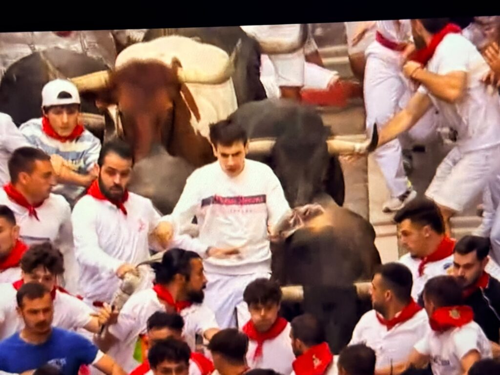 Miura San Fermin 4
