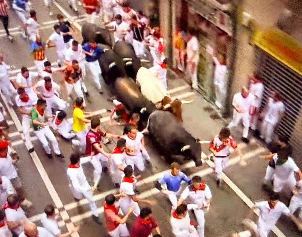 Miura San Fermin 8