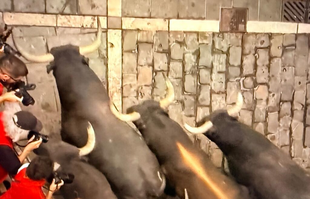 Miura San Fermin 9