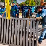 Municipio refuerza limpieza de caimanes en Aguascalientes