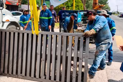 Municipio refuerza limpieza de caimanes en Aguascalientes