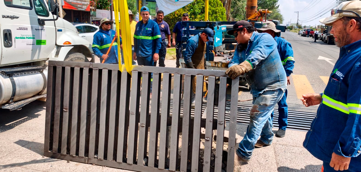 Municipio refuerza limpieza de caimanes en Aguascalientes