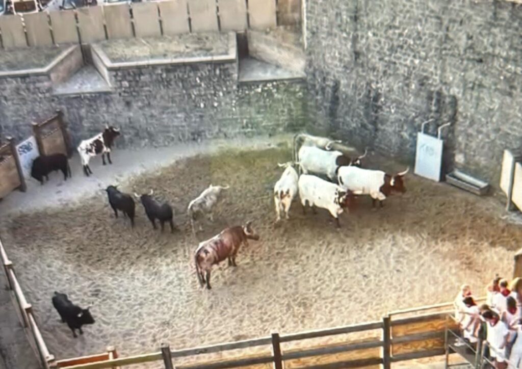 Primer Encierro San Fermin