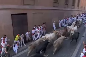 Compacto, durante los casi 900 metros, permaneció el lote de Fuente de Ymbro que hoy protagonizaron el primer encierro en San Fermín. Foto: JLMNoticias / Mundotoro / Especial.