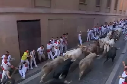 Compacto, durante los casi 900 metros, permaneció el lote de Fuente de Ymbro que hoy protagonizaron el primer encierro en San Fermín. Foto: JLMNoticias / Mundotoro / Especial.