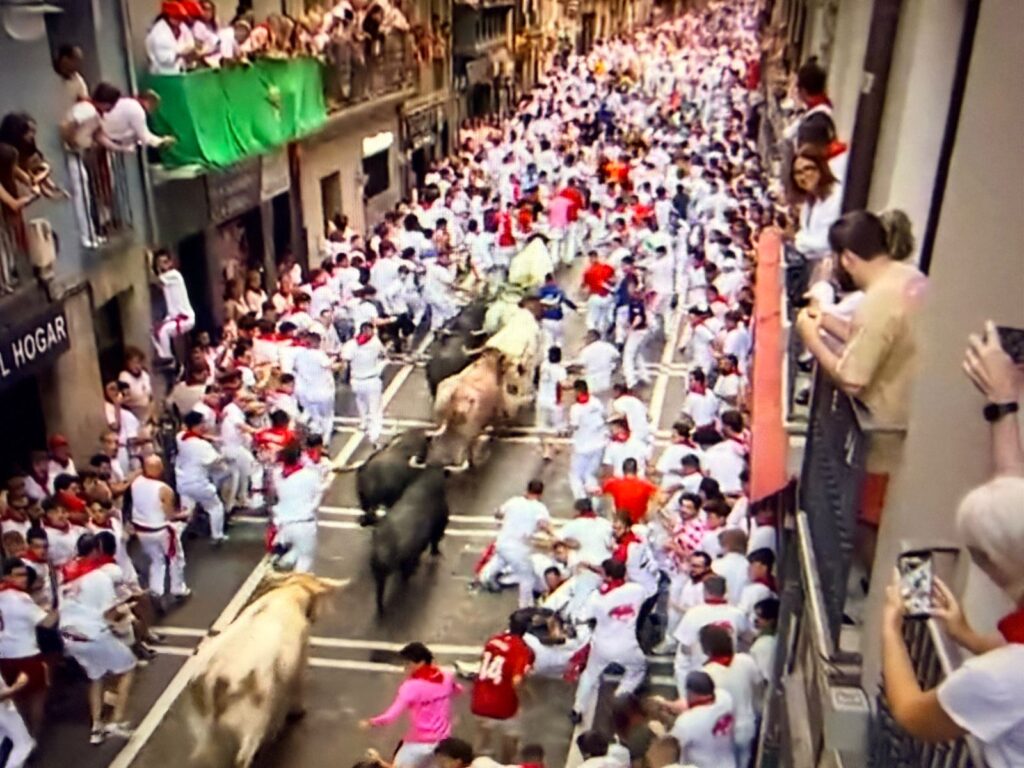 Segundo Encierro San Fermin 5