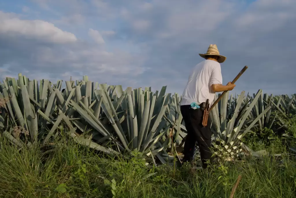 Una tradición de generaciones