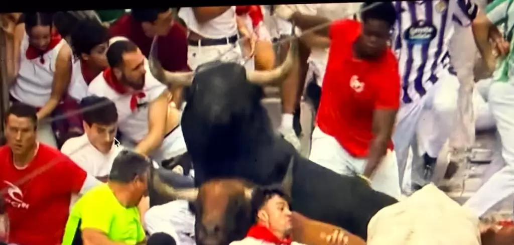 Los papeles se cambiaron y en ocasiones, los toros bravos tropezaron hoy en Pamplona con los propios corredores, durante el Tercer Encierro. Foto: JLMNoticias / Especial / RTVE.