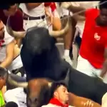 Los papeles se cambiaron y en ocasiones, los toros bravos tropezaron hoy en Pamplona con los propios corredores, durante el Tercer Encierro. Foto: JLMNoticias / Especial / RTVE.