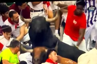 Los papeles se cambiaron y en ocasiones, los toros bravos tropezaron hoy en Pamplona con los propios corredores, durante el Tercer Encierro. Foto: JLMNoticias / Especial / RTVE.