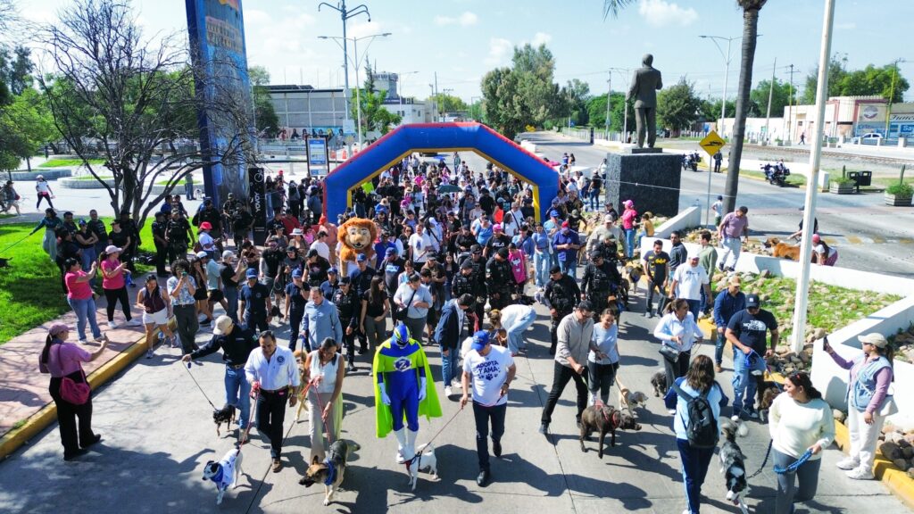 dji fly 20260718 093428 401 1784388910038 photo optimized scaled 1