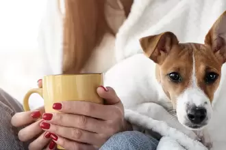 Ventajas de tener un perro en casa que Pedrito Sola no quiere que sepas