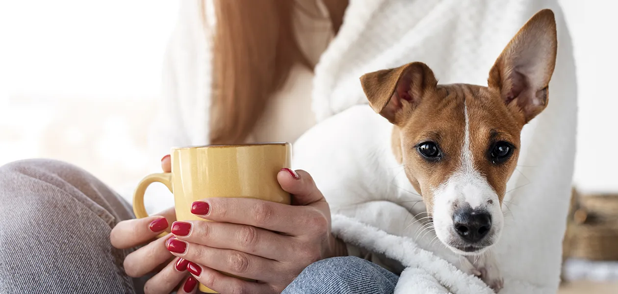Ventajas de tener un perro en casa que Pedrito Sola no quiere que sepas