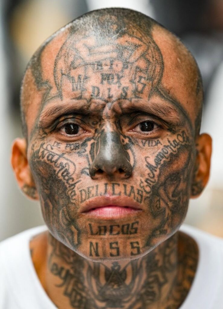 rostro