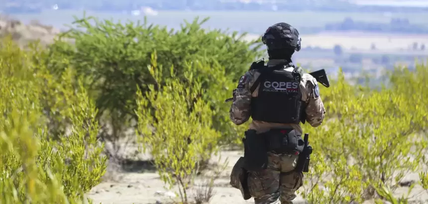 Aguascalientes y su coordinación interinstitucional fortalece la vigilancia en todo el territorio