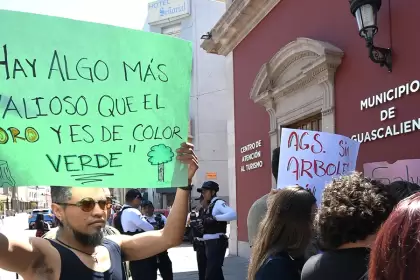 Ambientalistas acusan opacidad en derribo de árboles y exigen registro público en Aguascalientes