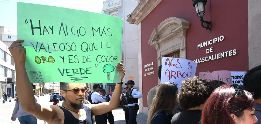 Ambientalistas acusan opacidad en derribo de árboles y exigen registro público en Aguascalientes