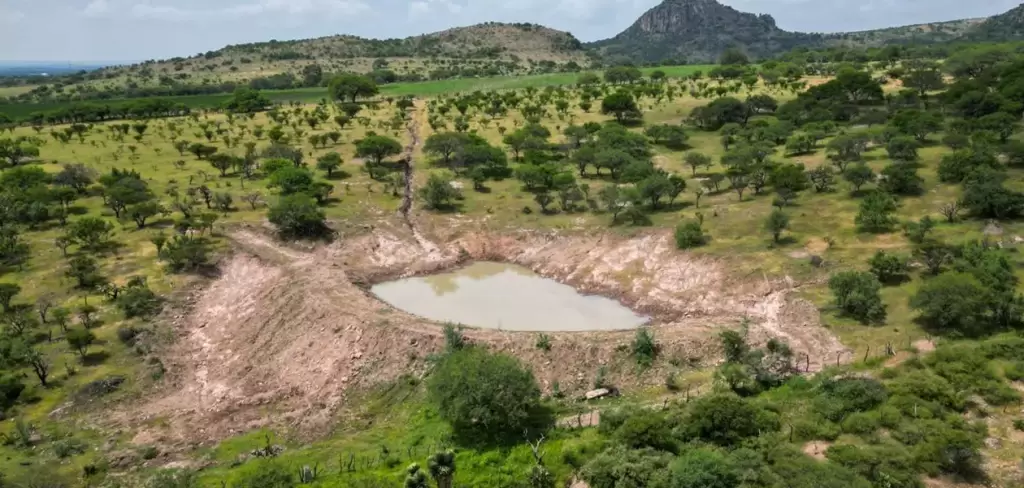 Bordos de agua en Aguascalientes fortalecen el campo