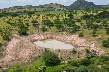 Bordos de agua en Aguascalientes fortalecen el campo