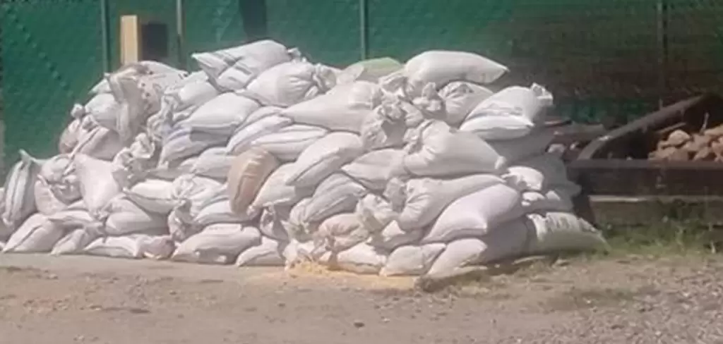 Catean bodega en Cosío y recuperan 4.5 toneladas de maíz robado a trenes de Ferromex