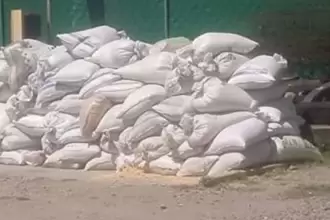 Catean bodega en Cosío y recuperan 4.5 toneladas de maíz robado a trenes de Ferromex